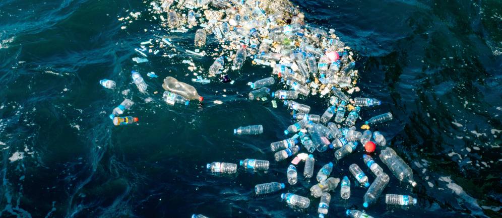 le bottiglie di plastica in mare durano fino a 450 anni